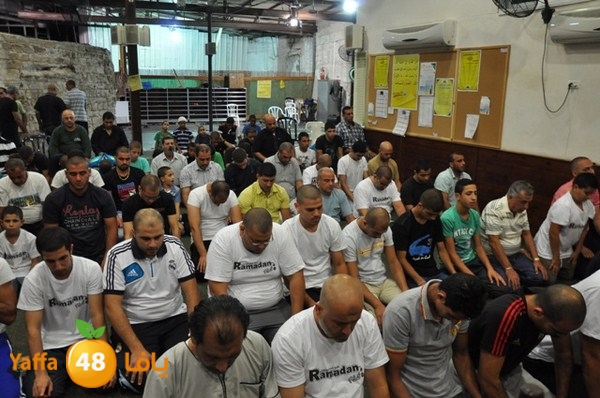 msajed amer qder 804 (47).JPG